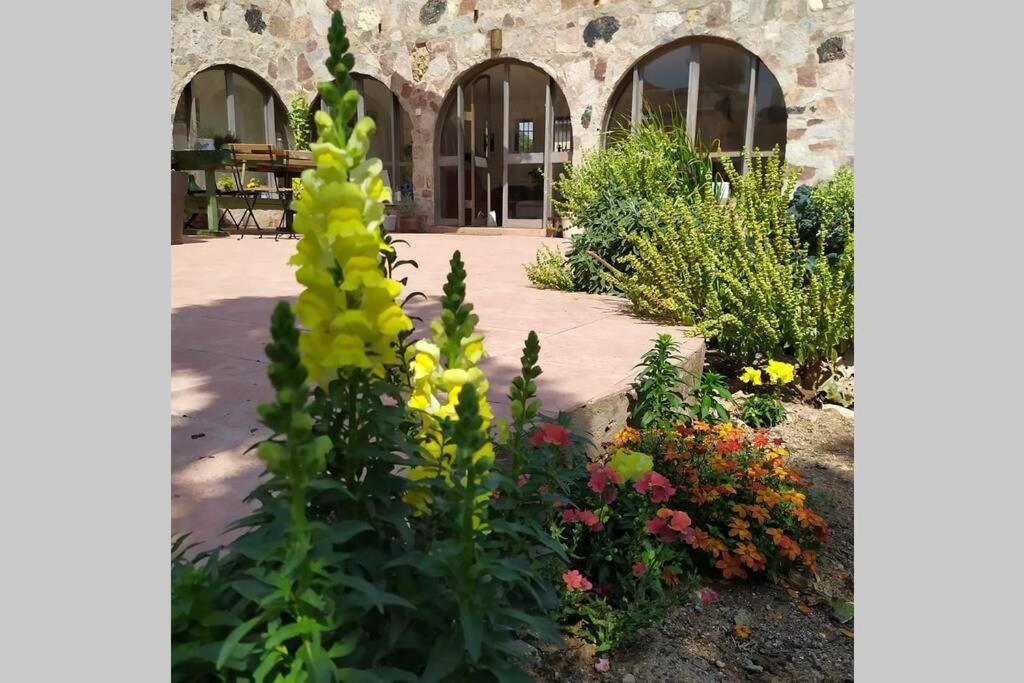 Appartement Eilat Stone - Patio אבן אילת - פטיו Extérieur photo