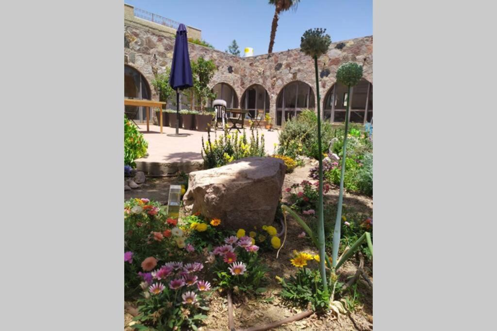 Appartement Eilat Stone - Patio אבן אילת - פטיו Extérieur photo